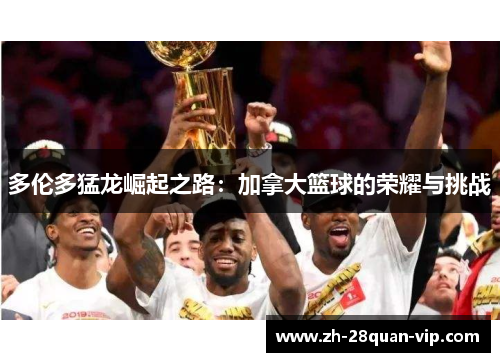 多伦多猛龙崛起之路：加拿大篮球的荣耀与挑战
